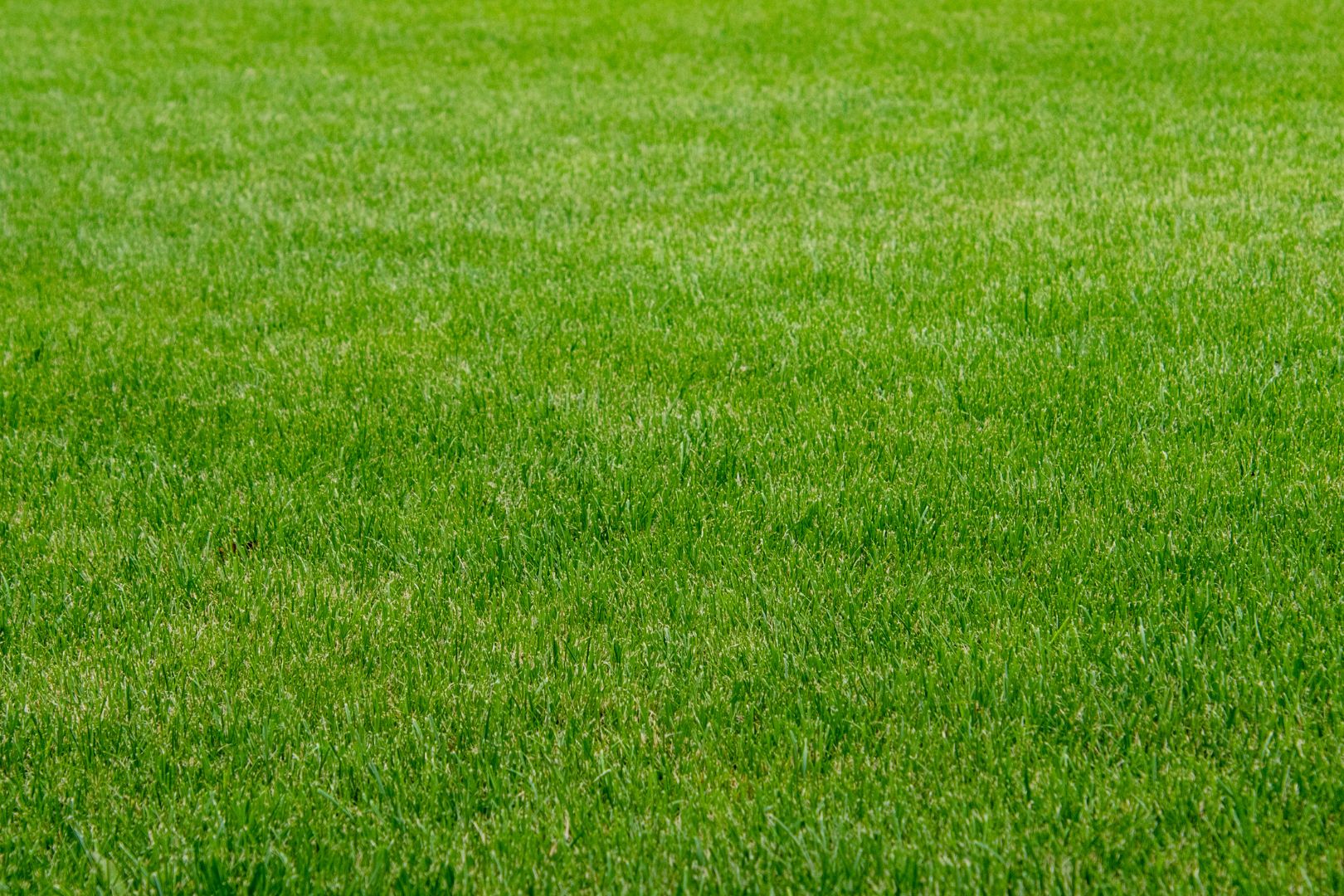 Como instalar grama sintetica sem cola